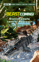 HD Camera Mosasaur Dinosaur Toy | RC Boat with Water Spray | App Control | Fun Gift for Kids - Jimmys toys